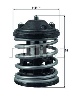 WILMINK GROUP Termostats, Dzesēšanas šķidrums WG1426529